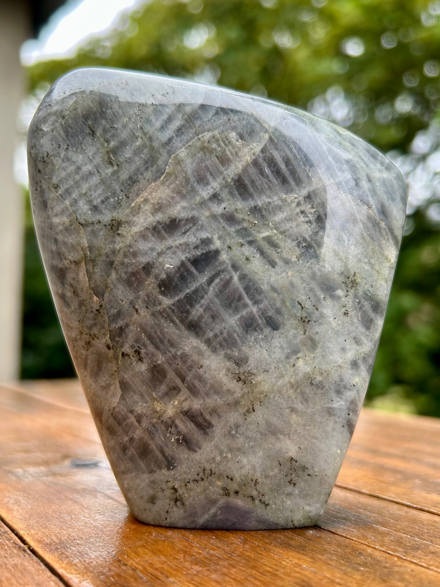 Labradorite – Forme libre polie - 454g
