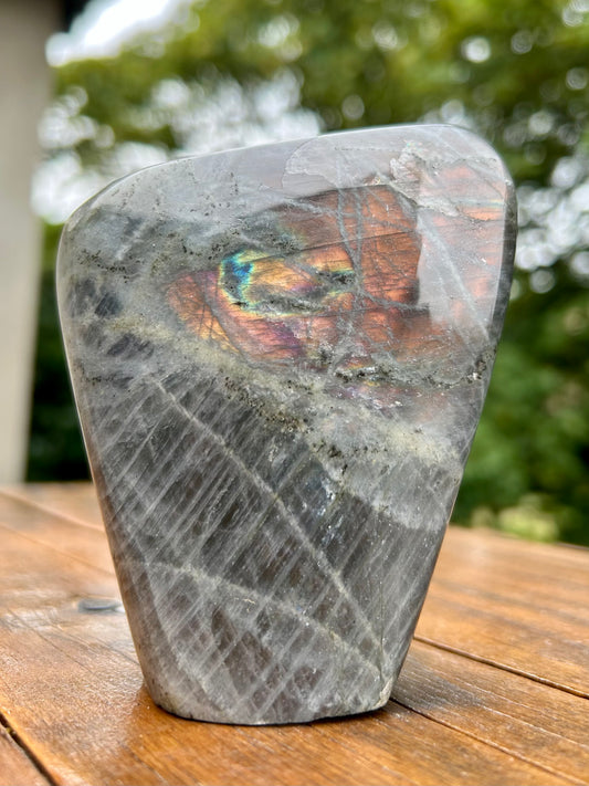 Labradorite – Forme libre polie - 454g